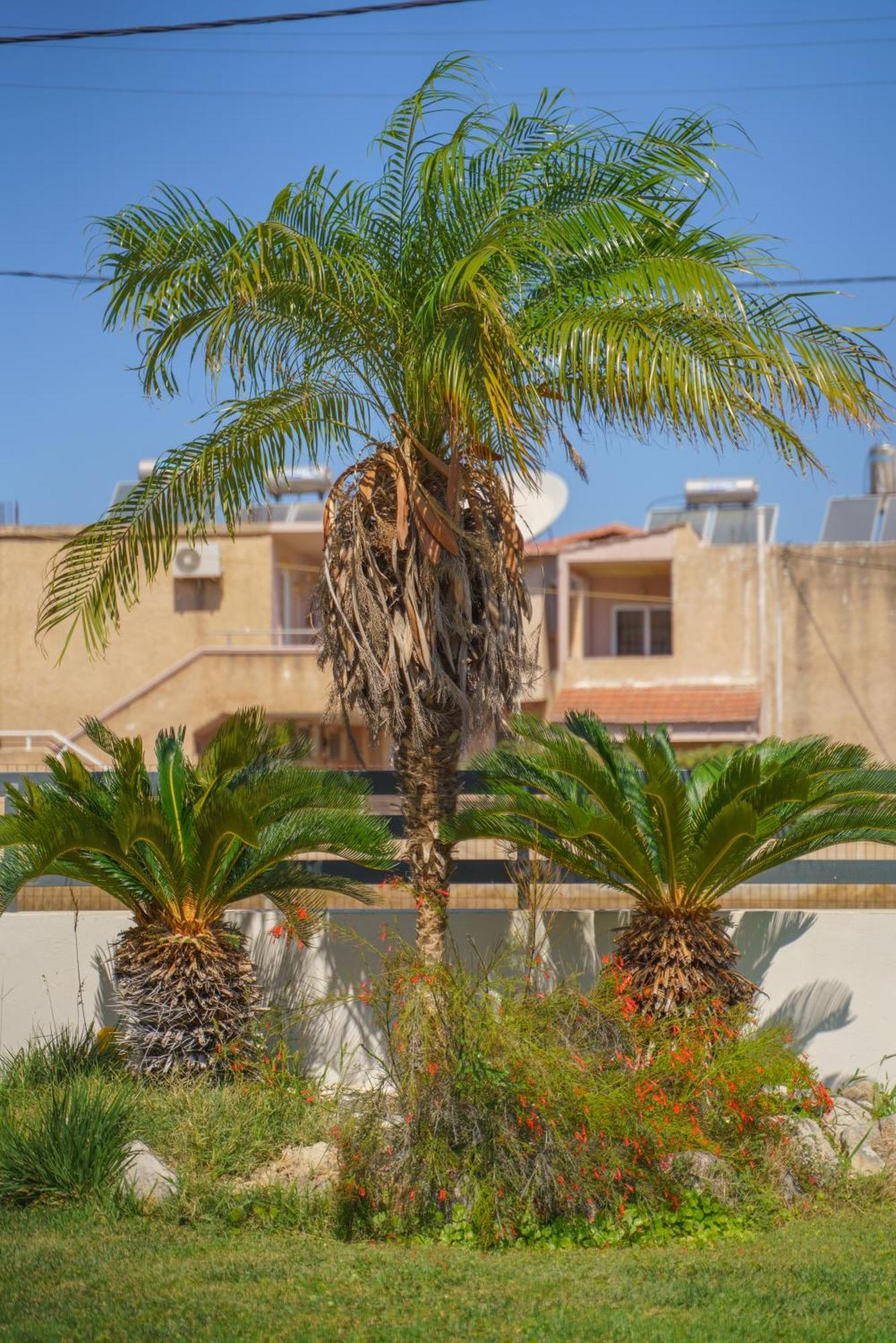 Villa Stamatina Παστίδα Εξωτερικό φωτογραφία